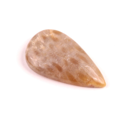 Kabošon Fossil Coral č.2091 (43x24x8mm)