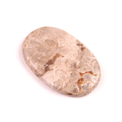 Kabošon Fossil Coral č.2092 (42x28x5mm)