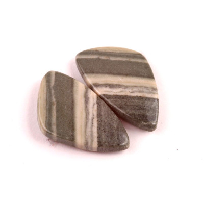 kabošony páry Silver Leaf Jasper č.P532 (27x16x4mm)