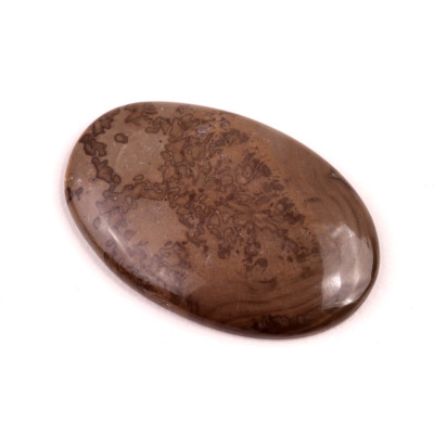Kabošon Coffee Been Jasper č.4216 (37x25x5mm)