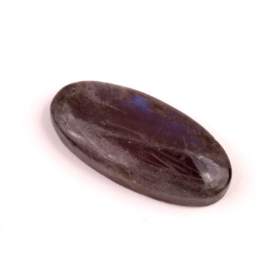Kabošon Labradorite č.1580 (36x17x7mm)