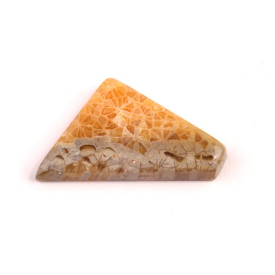 Kabošon Java Fossil č.4518 (25x18x5mm)