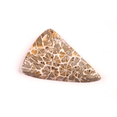 Kabošon Java Fossil č.4519 (30x22x4mm)