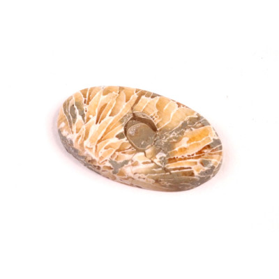 Kabošon Java Fossil č.4520 (28x17x4mm)