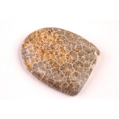 Kabošon Java Fossil č.4522 (27x22x5mm)