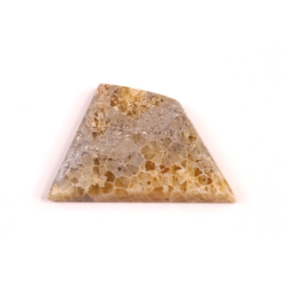 Kabošon Java Fossil č.4526 (28x19x4mm)