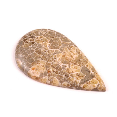 Kabošon Java Fossil č.4527 (47x27x4mm)