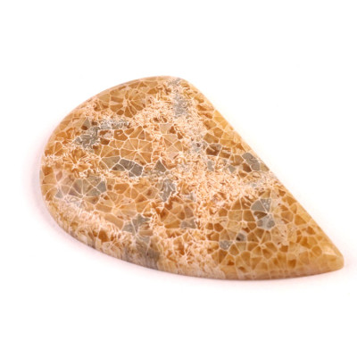 Kabošon Java Fossil č.4528 (46x30x6mm)