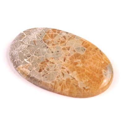 Kabošon Java Fossil č.4529 (47x28x6mm)