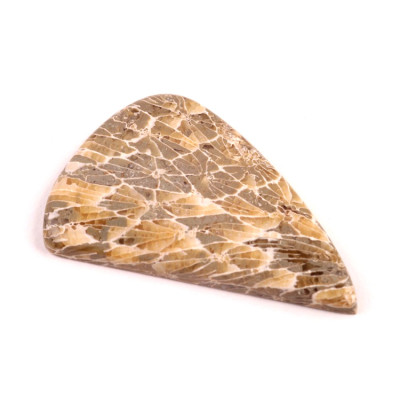 Kabošon Java Fossil č.4530 (44x29x5mm)