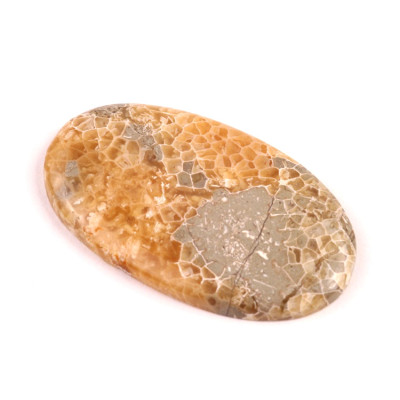 Kabošon Java Fossil č.4531 (45x26x4mm)