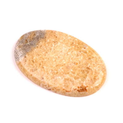 Kabošon Java Fossil č.4532 (43x28x5mm)