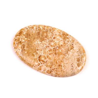 Kabošon Java Fossil č.4534 (42x28x4mm)