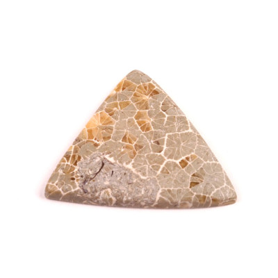 Kabošon Java Fossil č.4535 (36x35x4mm)