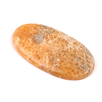 Kabošon Java Fossil č.4536 (51x27x5mm)