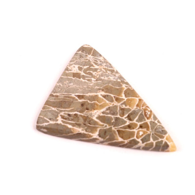 Kabošon Java Fossil č.4538 (36x27x4mm)