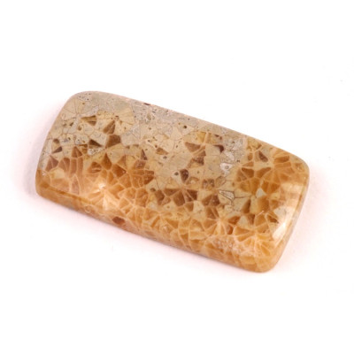 Kabošon Java Fossil č.4540 (34x17x5mm)