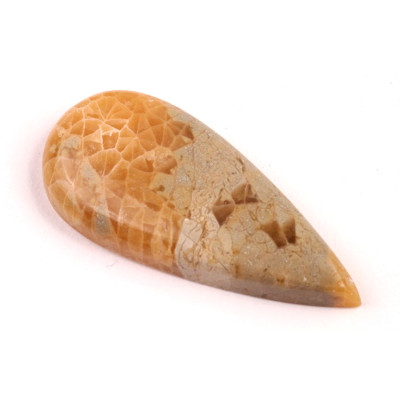 Kabošon Java Fossil č.4541 (41x19x6mm)