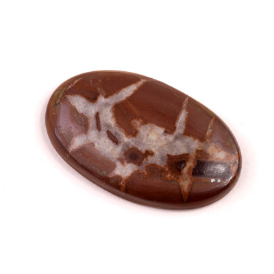 Kabošon Septarian č.4544 (33x20x5mm)