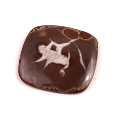 Kabošon Septarian č.4555 (33x31x4mm)