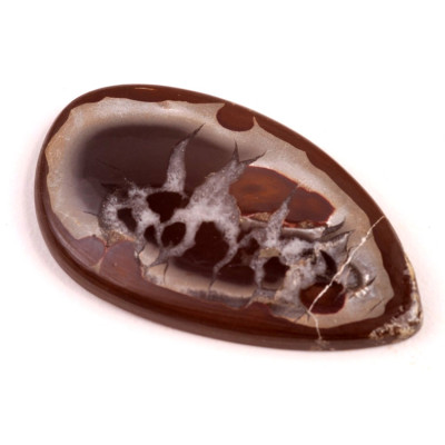 Kabošon Septarian č.4561 (48x28x5mm)