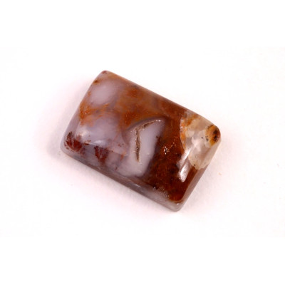 Kabošon Turkish Dendrite č.4667 (20x14x7mm)