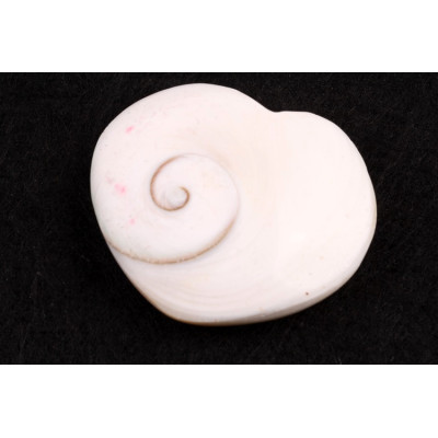 Mušle srdíčko č. 58 - 29g