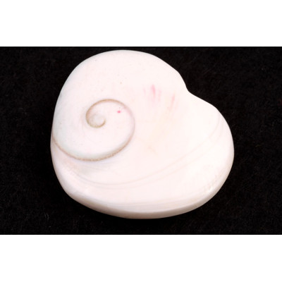 Mušle srdíčko č. 61 - 28g