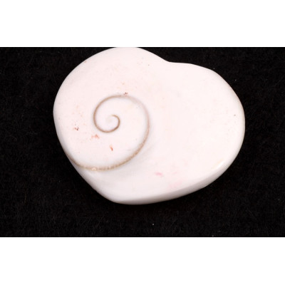 Mušle srdíčko č. 62 - 22g