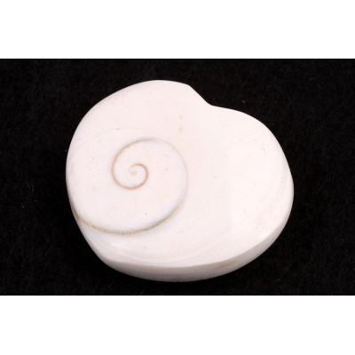 Mušle srdíčko č. 63 - 19g