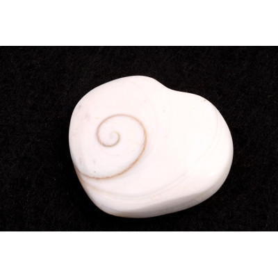 Mušle srdíčko č. 66 - 19g