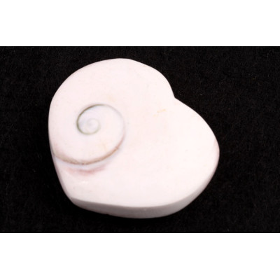 Mušle srdíčko č. 67 - 22g