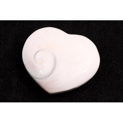 Mušle srdíčko č. 69 - 20g