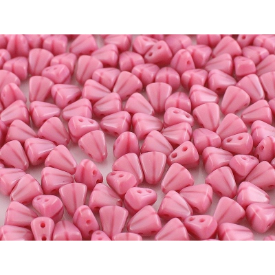 MATUBO NIB-BIT č. 218