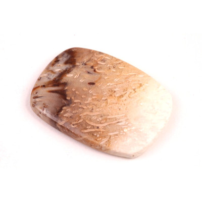 Kabošon Palmový Achát  č.5256 (39x28x5mm)