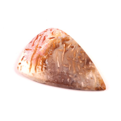 Kabošon Palmový Achát  č.5257 (44x30x5mm)