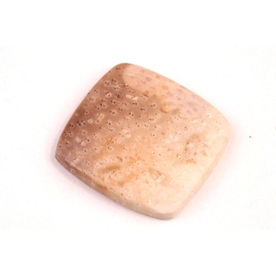 Kabošon Palmový Achát  č.5259 (27x25x5mm)