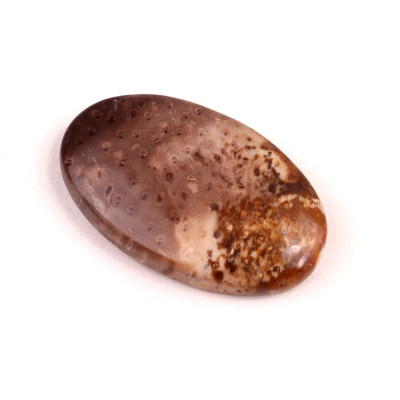 Kabošon Palmový Achát  č.5261 (35x22x6mm)