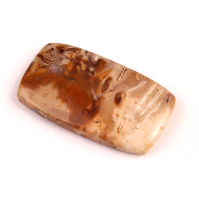 Kabošon Palmový Achát  č.5264 (37x21x6mm)