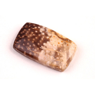 Kabošon Palmový Achát  č.5265 (31x19x7mm)