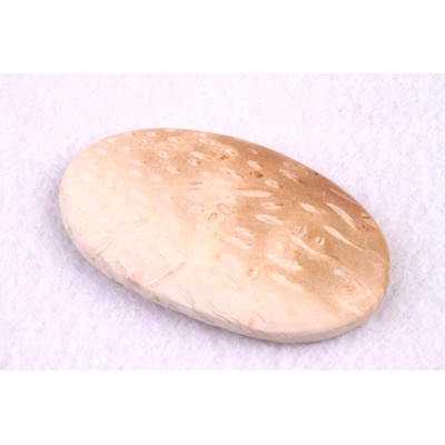 Kabošon Palmový Achát  č.5268 (38x21x5mm)