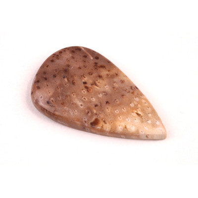 Kabošon Palmový Achát  č.5274 (36x21x5mm)