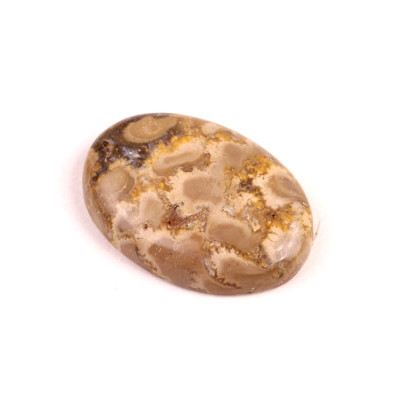 Kabošon Bumblebee Jasper č.1512 (33x23x7mm)