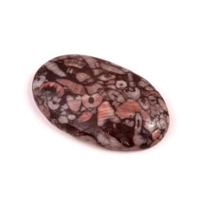 Kabošon Kammererite Fossil č.3459 (37x23x6mm)