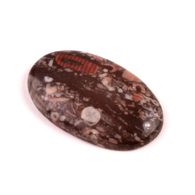 Kabošon Kammererite Fossil č.3454 (38x23x6mm)