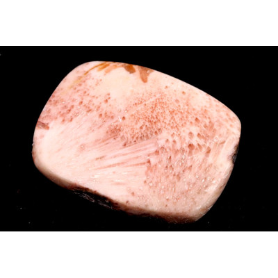 Kabošon Scolecite č.5317 (35x26x5mm)