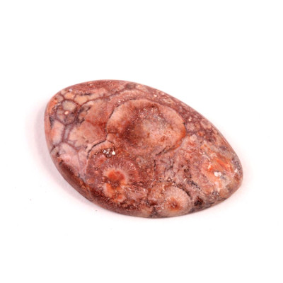 Kabošon Birds Eye Jasper č.2144 (35x23x5mm)