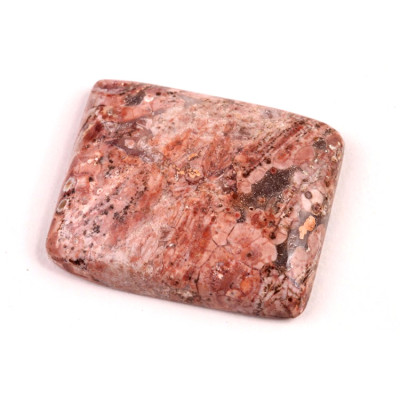 Kabošon Birds Eye Jasper č.2151 (31x26x6mm)