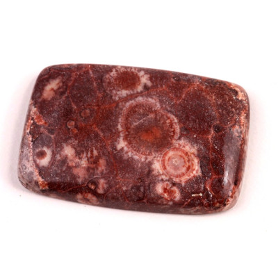 Kabošon Birds Eye Jasper č.2159 (38x26x5mm)