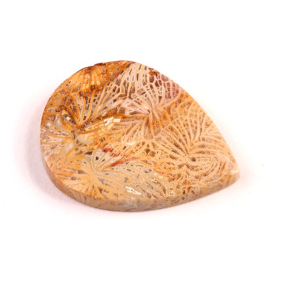 Kabošon Fossil Coral č.5421 (35x26x6mm)